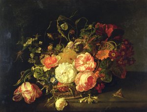 Bloemen en Insecten, 1711